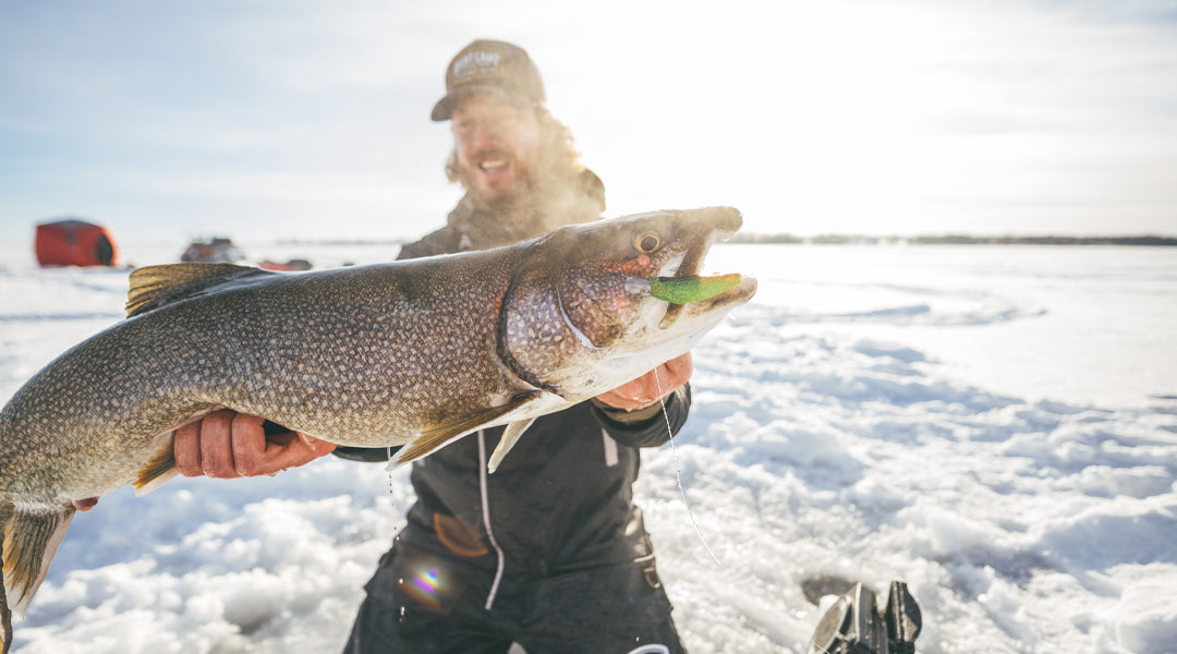 Great White North