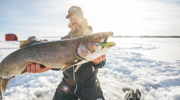 Great White North